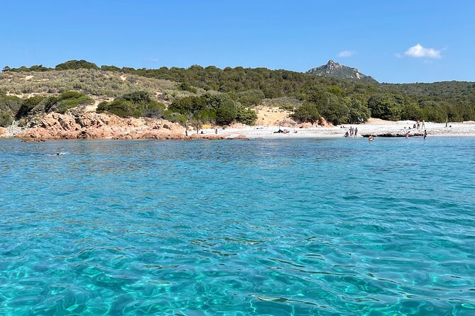 Day Trip to Tizzano and Its White Sandy Beaches - Traveler Feedback and Recommendations