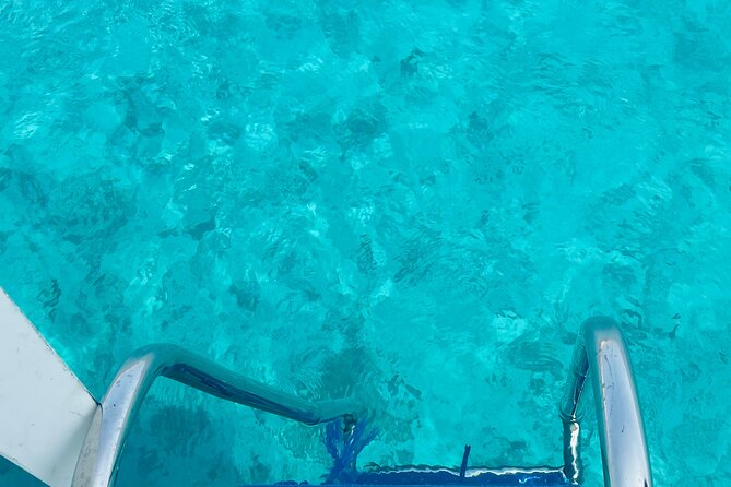 Daymaniyat Islands Snorkeling 2 Different Snorkeling Sites and Lunch Included - Provided Lunch