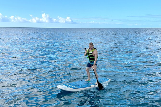 Deluxe Turtle Snorkeling Escapade at Waikiki - Questions About Your Stay