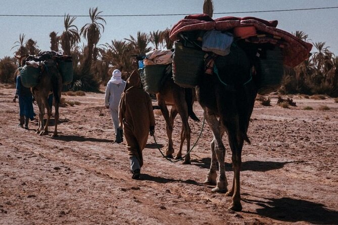 Desert Hike for 6 Days and 5 Nights - Frequently Asked Questions