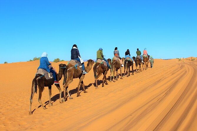 Desert Trip:Fès-Merzouga(1 Night)-Ouarzazat(1 Night)-Marrakech - Practical Information and Logistics