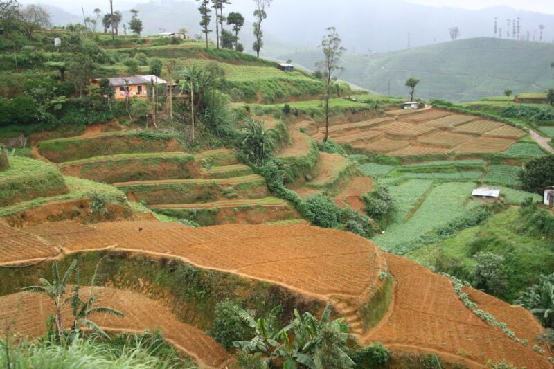 Discover Ceylon + Horton Plains 6 Days Tour - Packing Recommendations