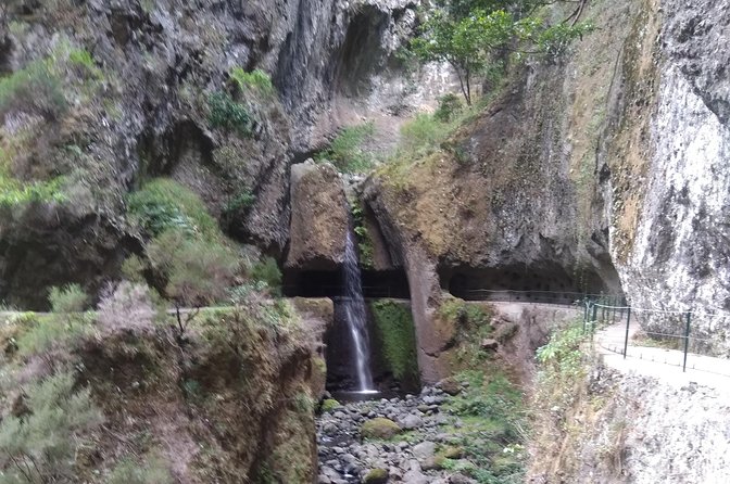 Discover Madeira Island Differently - Customer Feedback and Ratings