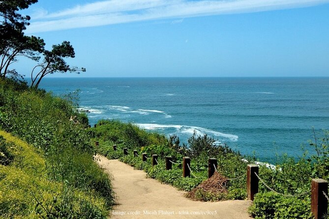 Discover San Diegos Beaches: Private Driving Tour - Questions About Your Stay