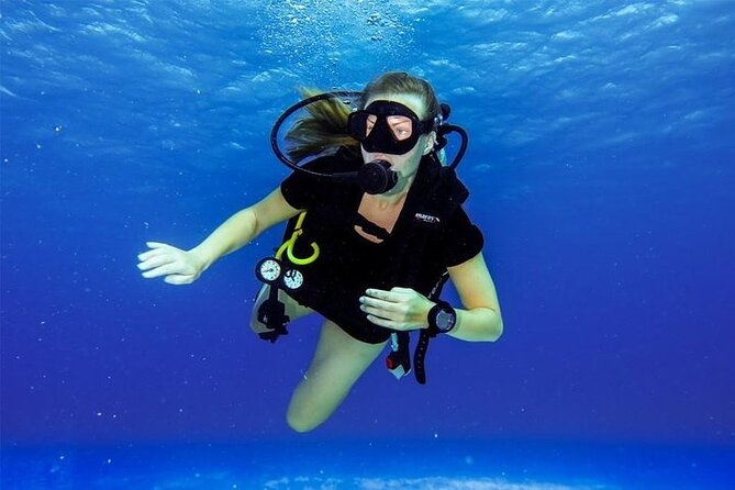 Discover Scuba Diving in Cozumel Paradise Reef - Tailored Experiences and Professionalism