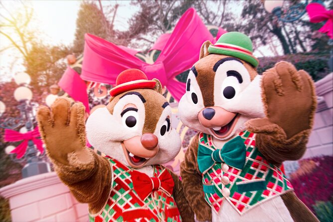 Disneyland® Paris Same Day Ticket - Additional Visitor Information
