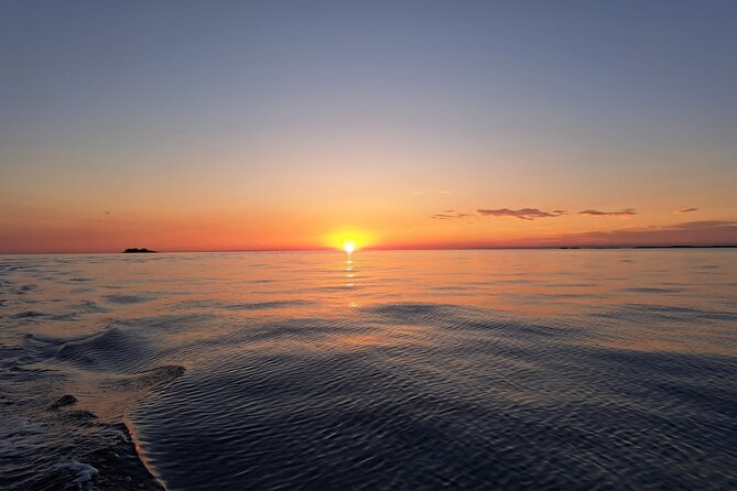 Dolphin Safari in Fažana - Preparing for Your Dolphin Adventure