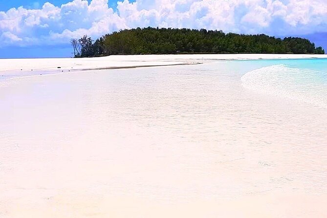 Dolphin Tour, Jozani Forest Tour, Kuza Cave Tour, Paje Beach,The Rock Restaurant - Booking and Accessibility