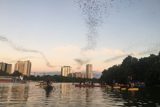 Downtown Austin Sunset Kayak Tour With 1.5 Million Bats - Nearby Attractions