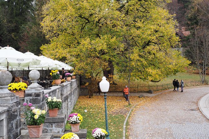 Dracula & Peles Castle - Tickets Included - Visiting Peles Castle