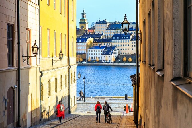Drottningholm Palace Tour VIP Car and Private Guide - Accessibility and Amenities
