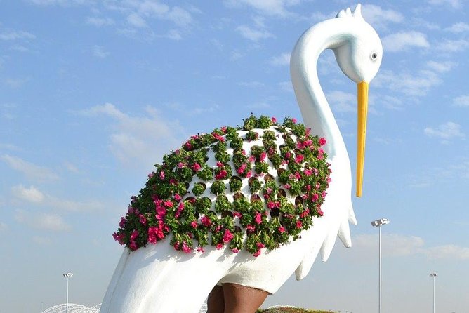 Dubai Miracle Garden Ticket With Transfer - Tips for a Great Experience