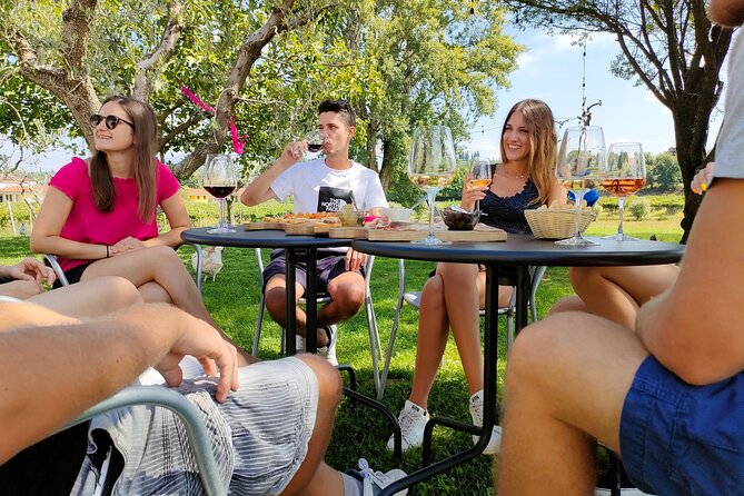 E-Bike Tour and Wine Tasting Review - Since You Asked