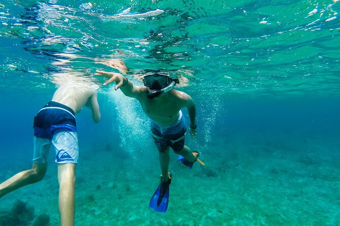 E-bike West Coast Snorkeling Tour - Positive Feedback
