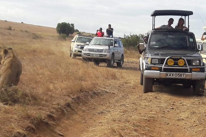 Early Morning Group Joining Mini Safari To Nairobi National Park - Frequently Asked Questions