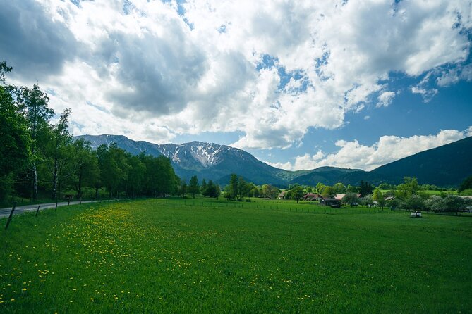 Easy Hiking Alpine Panorama Paradise Private Tour From Vienna - Additional Considerations