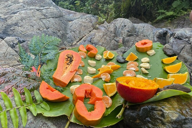 El Yunque Guided Waterfall Experience With Transport - Hiking to Tinajas Waterfall