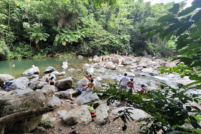 El Yunque National Forest - The Road 191 Corridor - Half Day Tour - Local Culture and Cuisine