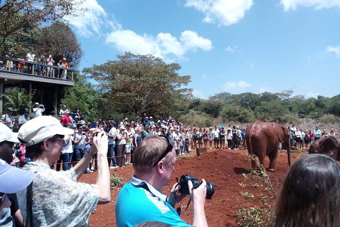 Elephants,Giraffe Center, Blixen Museum $ Bomas of Kenya - Frequently Asked Questions