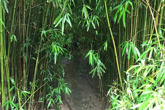 Elite Private Tour - Why Choose Maui Legend Tours