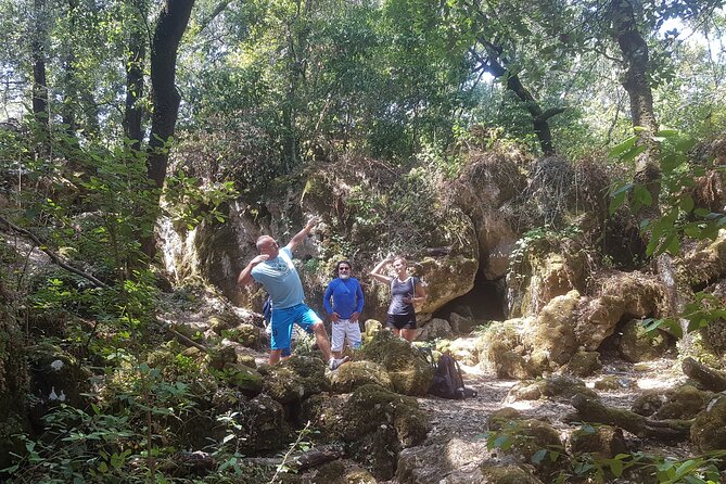Enchanted Forest Hike and Wine Tasting Private Tour - Sum Up