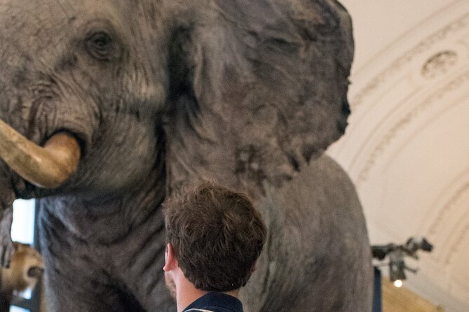 Escape Game at the Royal Museum for Central Africa - Unique Aspects of the Activity