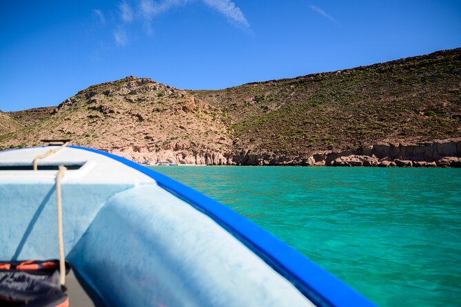 Espiritu Santo Island Snorkel and Sightseeing Tour on Small Group - Frequently Asked Questions