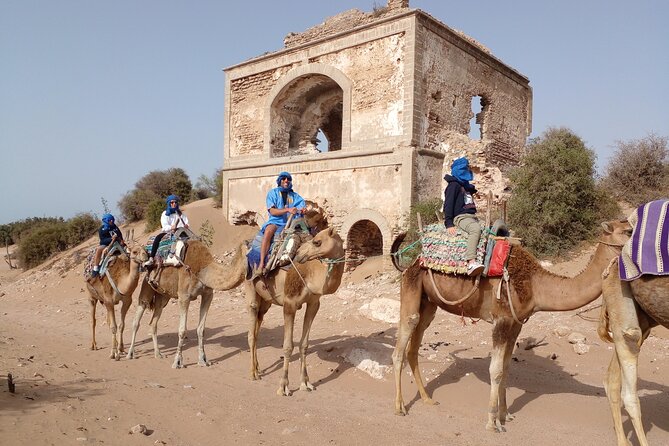 Essaouira: 1 Hour Dromedary + 2 Hours Quad - Accessibility and Suitability