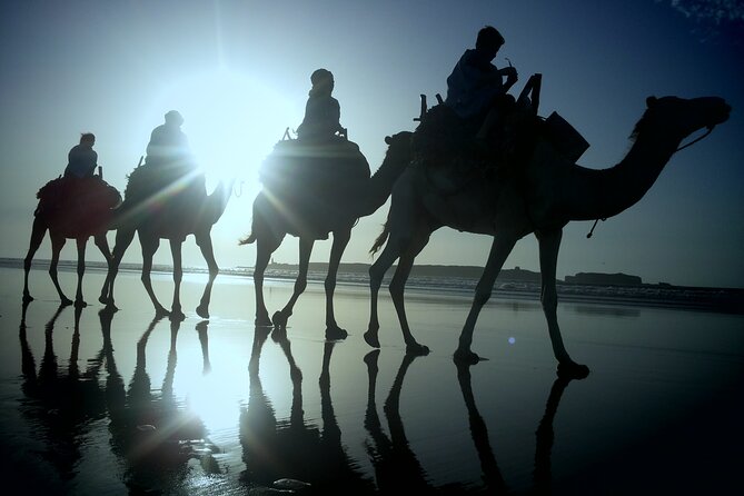 Essaouira: 2h/Quad + 1h/Dromedary Ride Free Transfer - Tips for an Enjoyable Experience