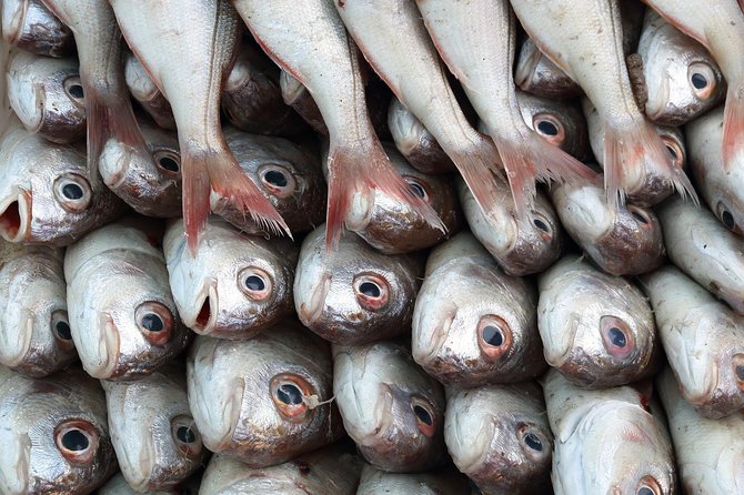 Essaouira Day Trip From Marrakech - Frequently Asked Questions