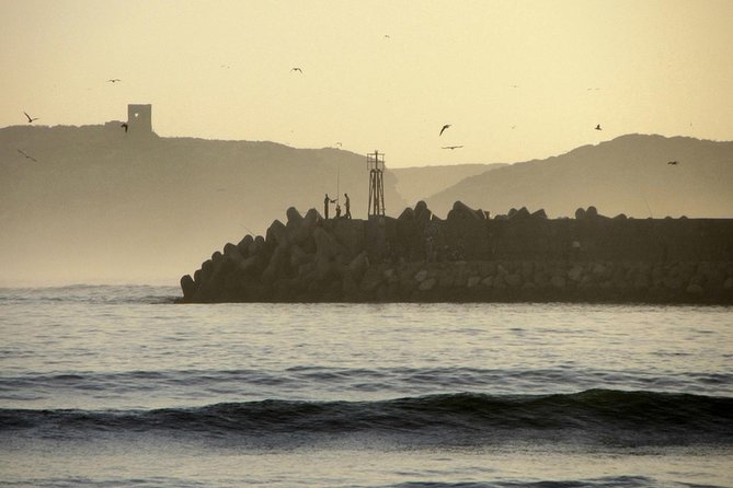 Essaouira Guided Tour: 3 on 1 - Nightlife Tour, Live Like a Local & Street Food - Addressing Feedback and Concerns