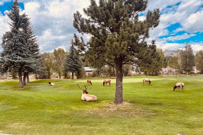 Estes Park Guided E-Bike Tour - Riding Along the Scenic Routes