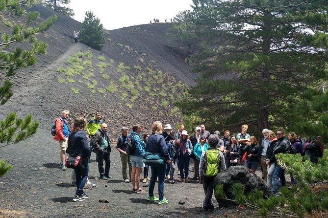 Etna Alcantara Tour: the Majestic Lava Landscape - The Sum Up