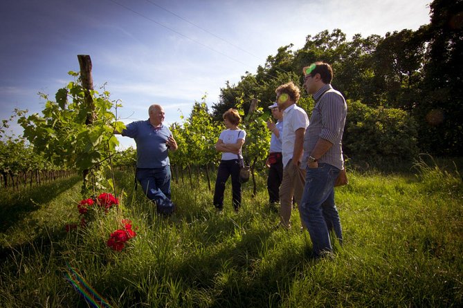 Euganean Hills Wine Tour - Tasting Sessions and Expertise