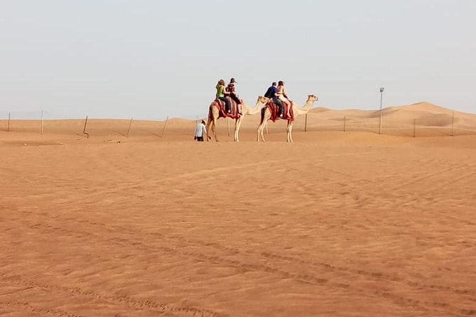 Evening Safari With Quad Bike, Camel Riding, BBQ Dinner and Dune Bashing - Tips for Your Safari Adventure