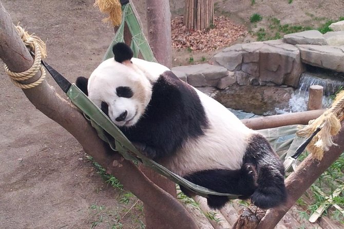 EVERLAND From Hotel to Hotel [Premium Private Tour: Only One Group for You] - Booking Information