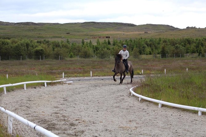 Exclusive Riding Program for Advanced Horse Riders - Give Me 5! - 2 to 3 Hours - Sum Up