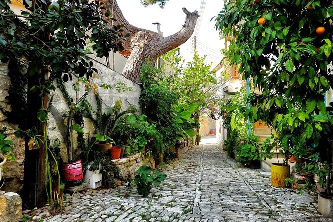 Excursion TASTE of CYPRUS Gourmet Tour From Paphos - Winery Wine Tasting