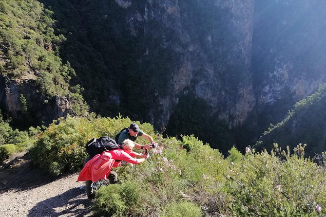 Excursion to Akchours Bridge of God (From Chefchaouen) - Experiencing Local Wildlife and Nature