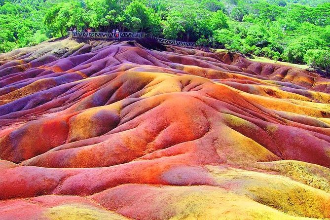 Exotic South: Journey Into the Nature (Full-Day Tour Incl Lunch & Ebony Forest) - Recommendations for Travelers