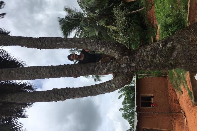 Experience Boti Waterfalls, Aburi Botanical Gardens & Tetteh Quarshie Cocoa Farm - Reviews and Traveler Feedback