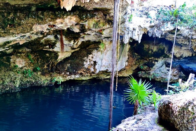 Experience Cancuns Hidden Gems, Mayan Museum, Cenote & Market 23 - Mercado 28 Shopping Excursion