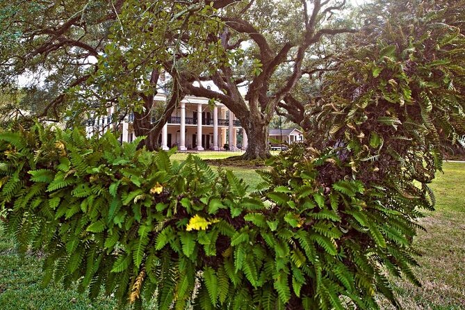 Explore Oak Alley Plantation Guided Tour With Transportation - Sum Up