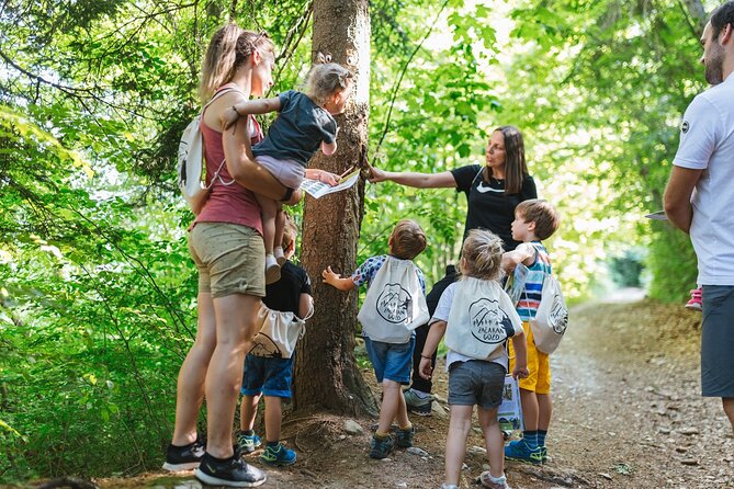 Family Adventure in Bled - Enchanted Forest Theme Park - Enchanted Forest Exploration