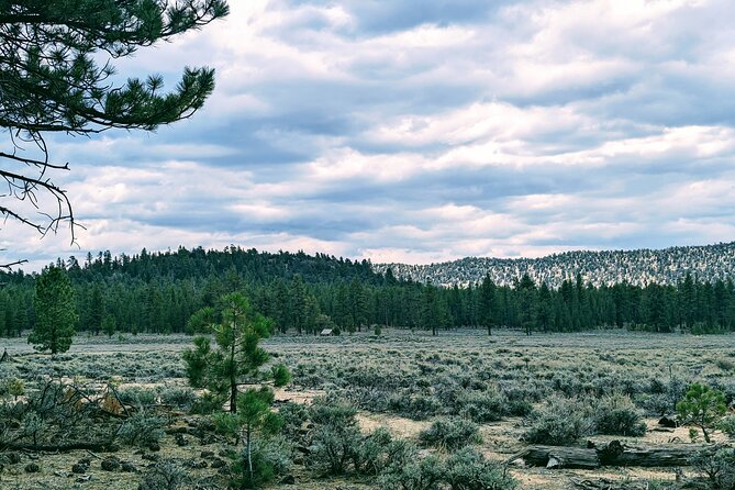 Family-Friendly Nature Hike Around the Big Bear Valley - Reviews and Testimonials