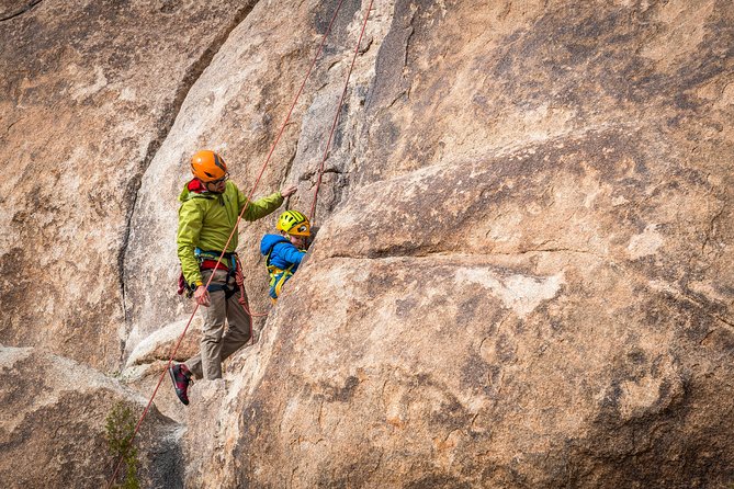 Family Rock Climbing Trips in Joshua Tree National Park (8 Hours) - Planning Your Adventure