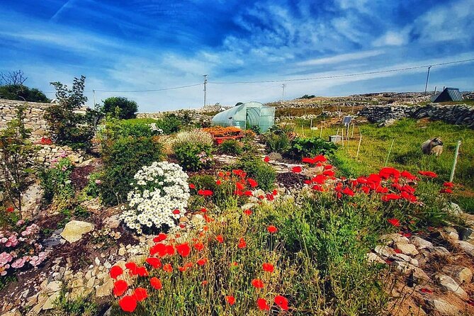 Farm to Table Experience and Irish Cooking Class in Galway - The Sum Up