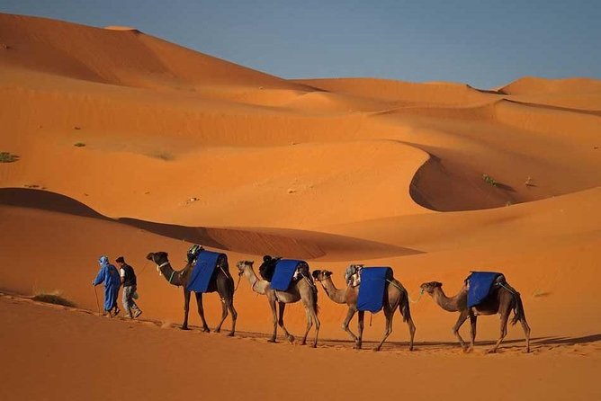 Fes to Marrakech via Desert Tour 2 Days 1 Night - Frequently Asked Questions