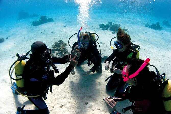 Fethiye Scuba Diving Experience By A Local Expert - What to Expect Onboard