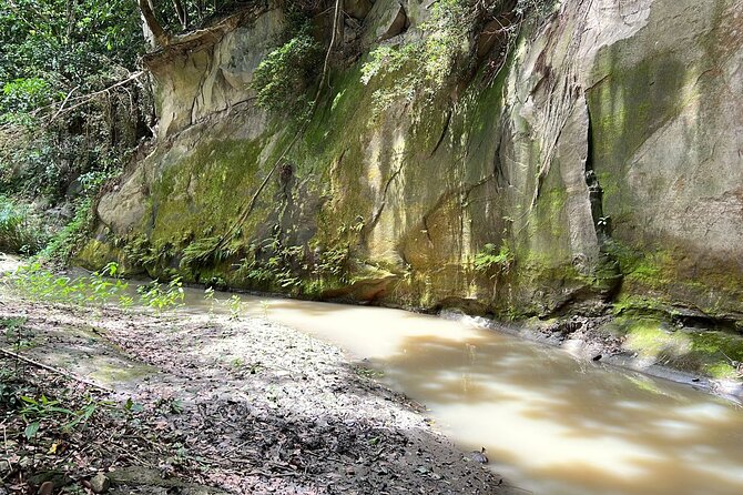 Five Hour Day Pass: 3 Hour Fun Hike and Challenges/Great Experiences/Bajan Lunch - Bajan Lunch Offerings